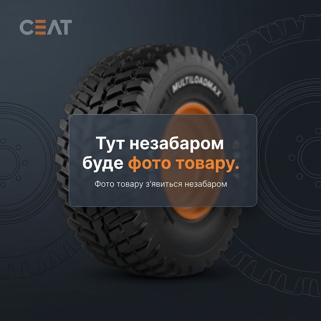 Шина 10,00R20 149/146K RS602 (Roadshine) з камерою та обідною стрічкою